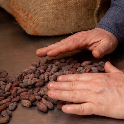 Fèves cacao salées